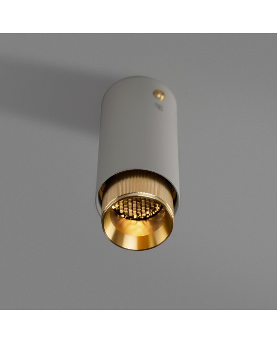 Buster + Punch Exhaust Surface Ceiling Lamp